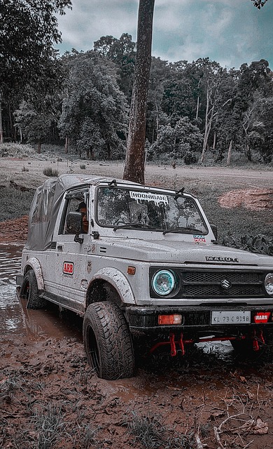 体上的球迷 体上的球迷