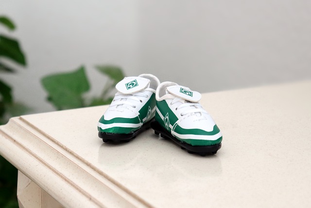 训练成果 训练成果