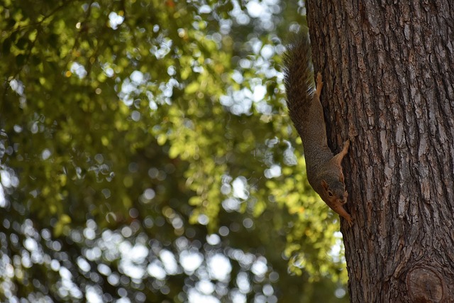 样值得称赞 样值得称赞