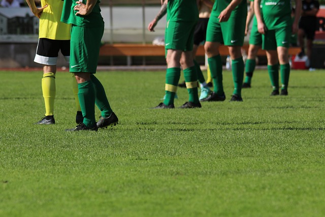 歐洲杯D組第2輪克羅地亞1-1捷克 希克點射佩裏西奇破門.