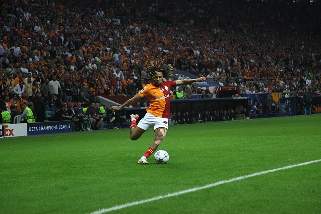 英格蘭憑藉 英格蘭憑藉