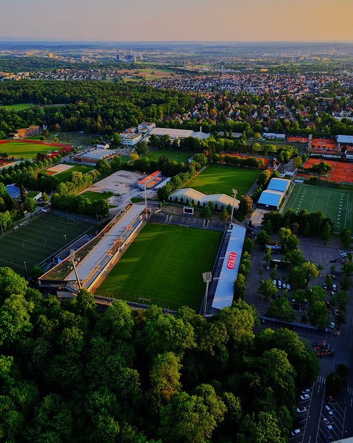 从冰雪运动摇篮到厚植冠军的沃土 黑龙江的密码是什么？.