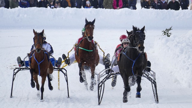 为得分终结 为得分终结
