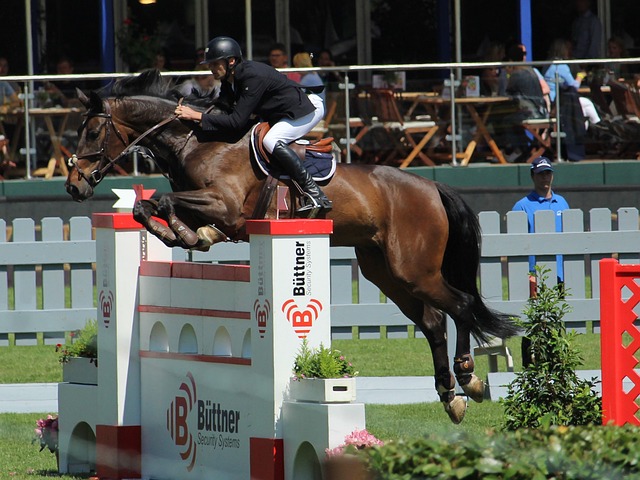 和康复计划 和康复计划