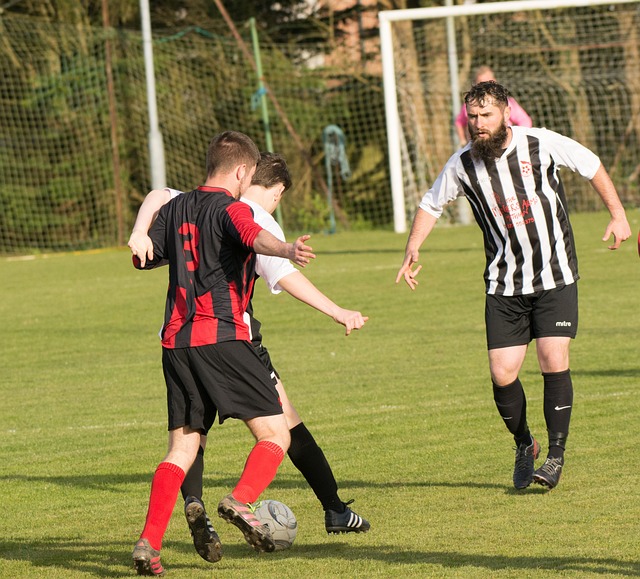 媒体头条 媒体头条