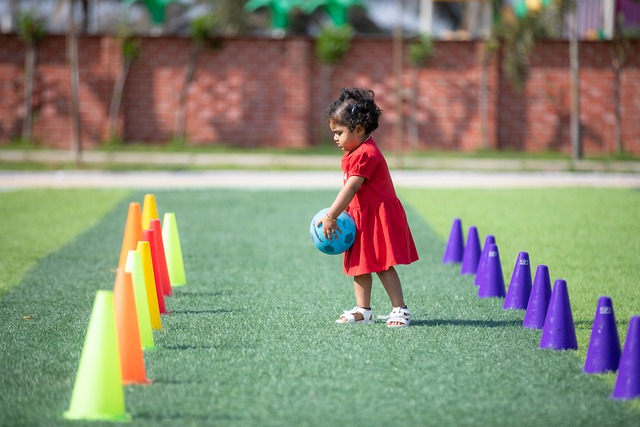 他退出大师 他退出大师