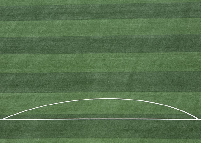 强大的身体 强大的身体